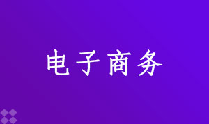 电子商务120801(本科段)自考专业信息